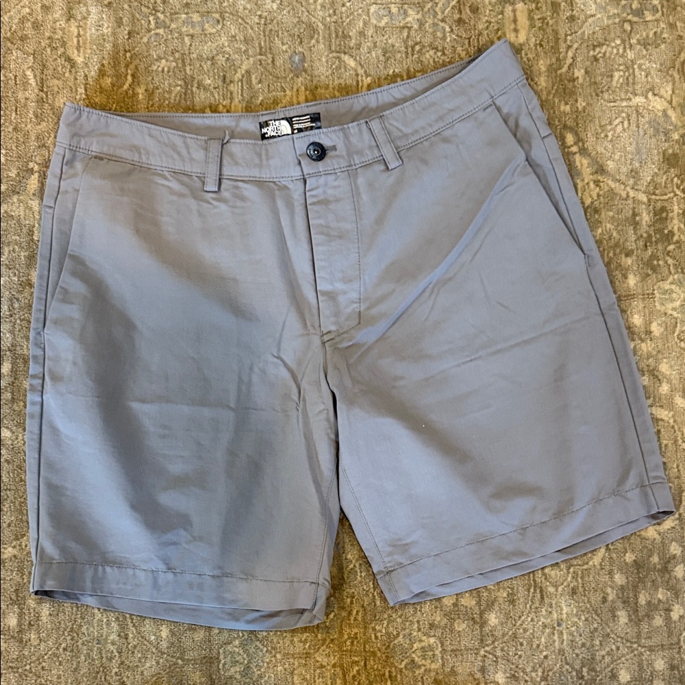 The North Face Men's Charcoal Flat Front Shorts